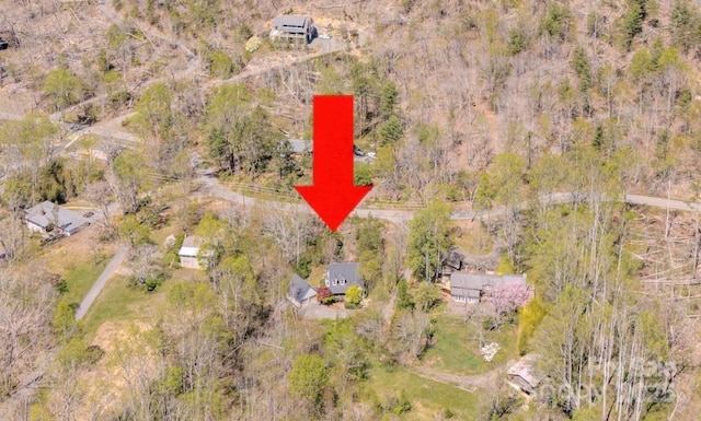 161 Hamburg Mountain Rd, Weaverville, NC 28787 - aerial view of property's location