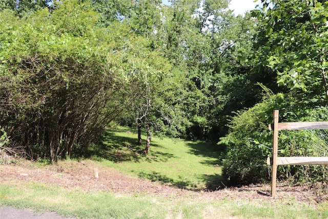 161 Hamburg Mountain Rd, Weaverville, NC 28787 - view of grassy yard