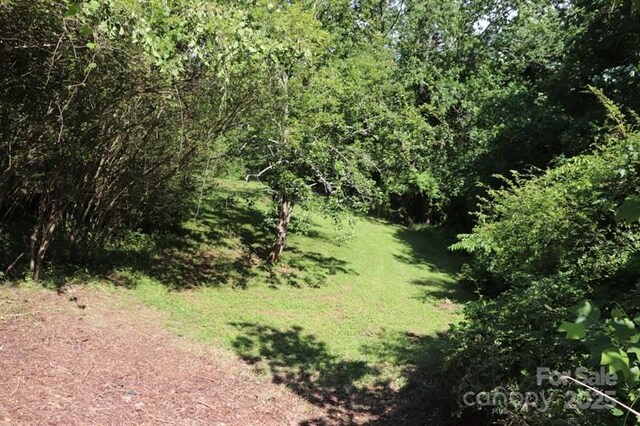 161 Hamburg Mountain Rd, Weaverville, NC 28787 - view of woods