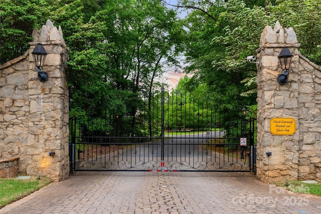325 Ivy Arbor Cir, Rock Hill, SC 29732 - view of gate