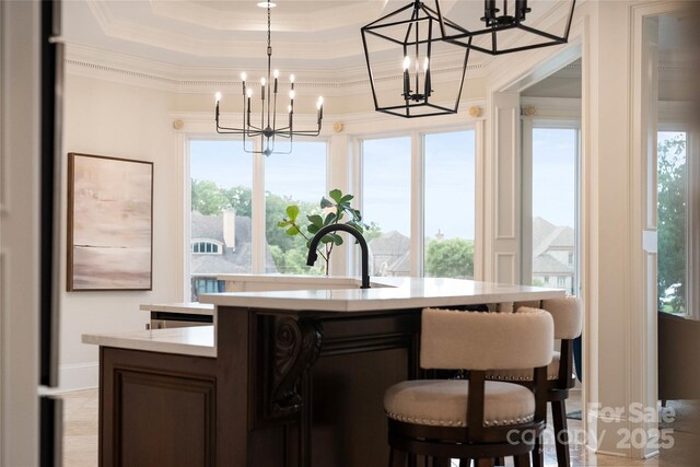 325 Ivy Arbor Cir, Rock Hill, SC 29732 - bar area with a chandelier, a tray ceiling, plenty of natural light, crown molding, and decorative light fixtures