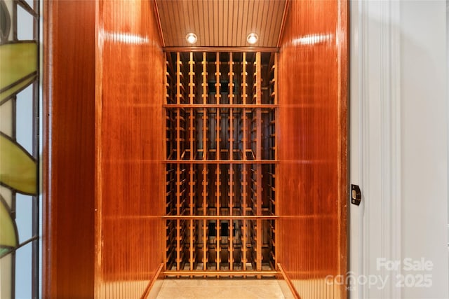 325 Ivy Arbor Cir, Rock Hill, SC 29732 - view of wine cellar