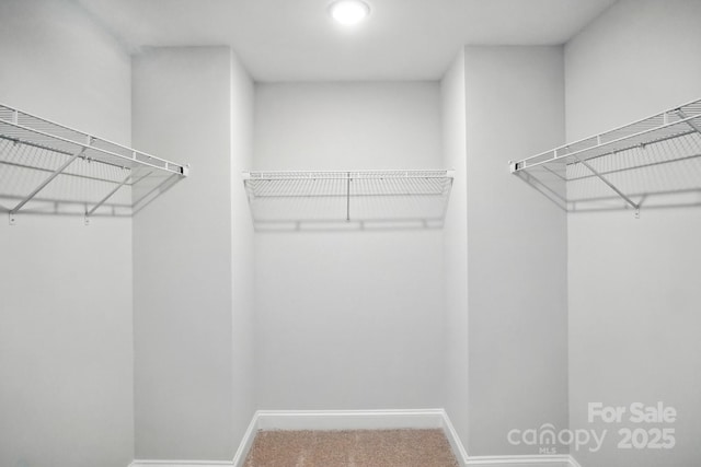5100 Verona Rd Unit 96, Charlotte, NC 28213 - photo 32