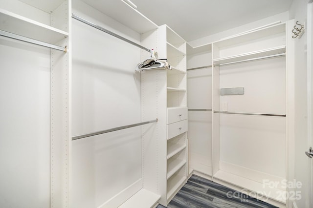 333 W Trade St Unit 1802, Charlotte, NC 28202 - walk in closet with dark wood finished floors