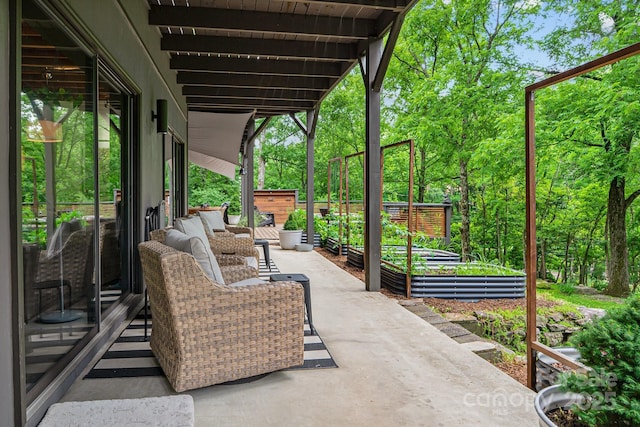 view of patio with a vegetable garden