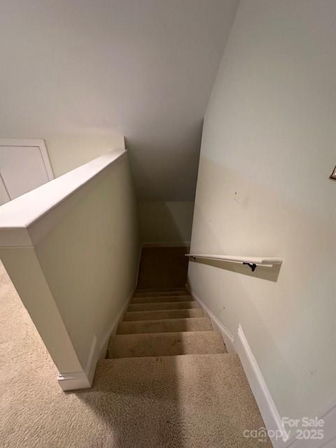 stairs featuring carpet floors