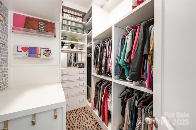 2332 Paddlers Cove Dr, Lake Wylie, SC 29710 - view of spacious closet