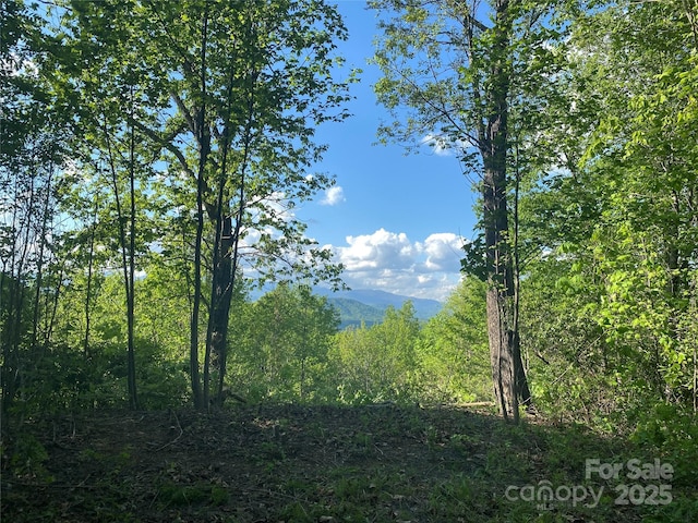 1099 Mitchell View Dr Unit 915/915A, Old Fort, NC 28762