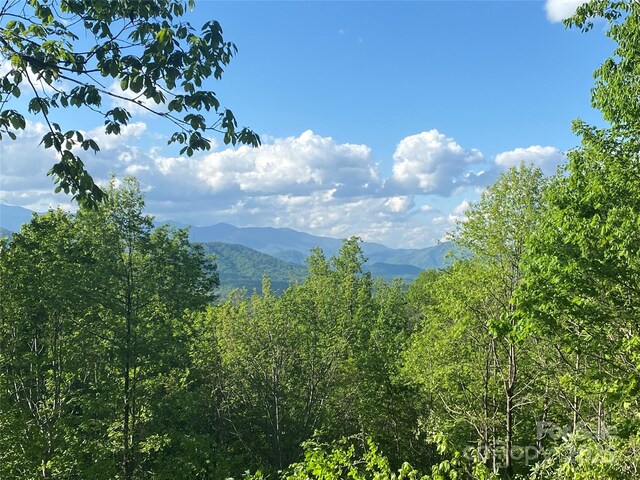 1099 Mitchell View Dr Unit 915/915A, Old Fort, NC 28762
