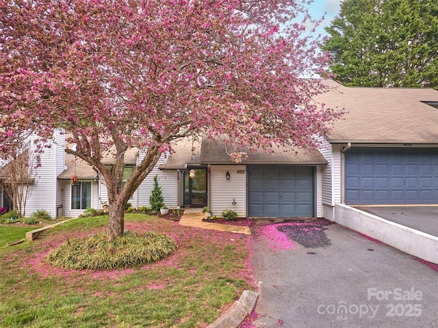 407 Sweeten Way, Asheville, NC 28803 - view of property hidden behind natural elements featuring a shingled roof, a garage, and aphalt driveway