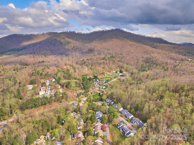 407 Sweeten Way, Asheville, NC 28803 - drone / aerial view featuring a mountain view and a view of trees