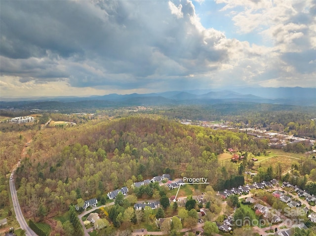 407 Sweeten Way, Asheville, NC 28803 - drone / aerial view featuring a mountain view and a view of trees