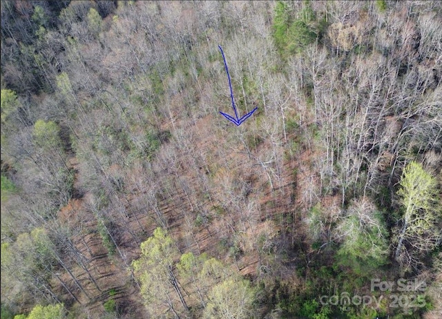 TBD Gravley Lane, Rosman, NC 28774