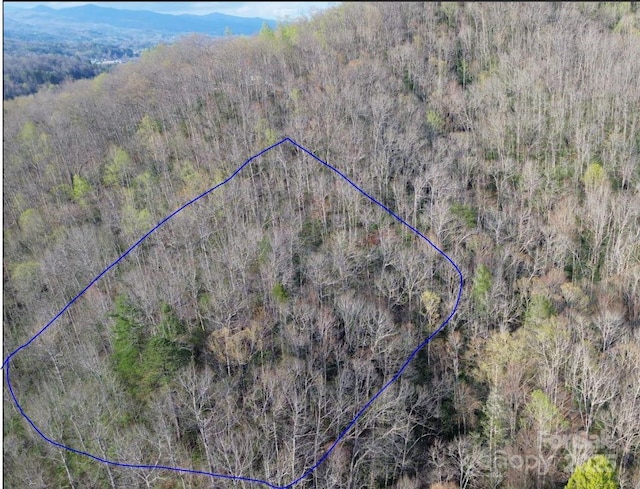 TBD Gravley Lane, Rosman, NC 28774
