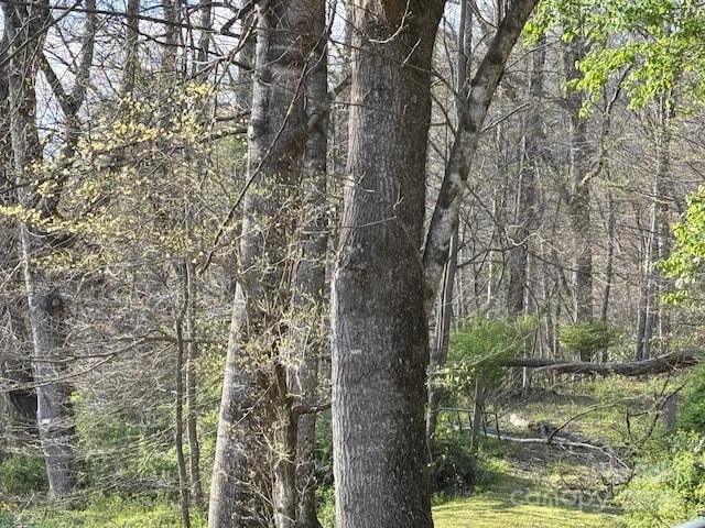 TBD Gravley Lane, Rosman, NC 28774
