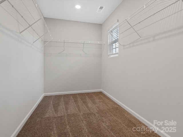 walk in closet featuring visible vents and carpet floors