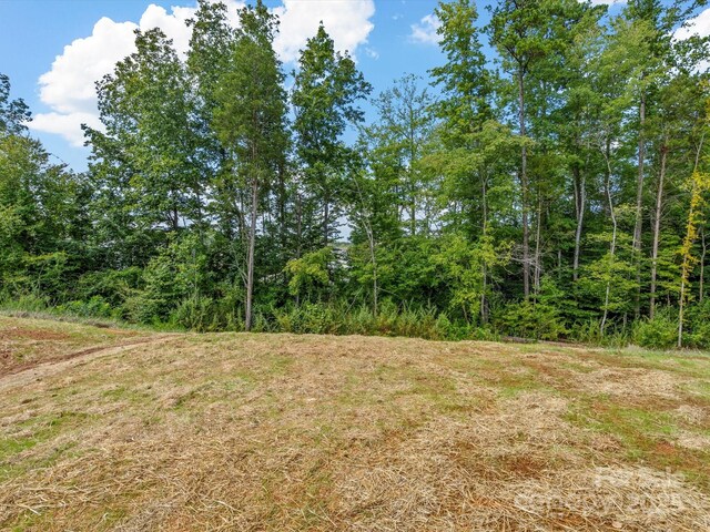 3034 Trailblazer St, Charlotte, NC 28215 - photo 25