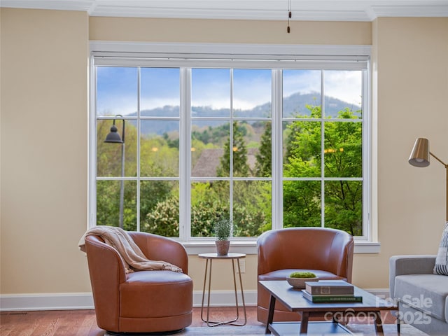 17 Kiftsgate Ct, Asheville, NC 28804 - living area with wood finished floors, baseboards, a wealth of natural light, and ornamental molding