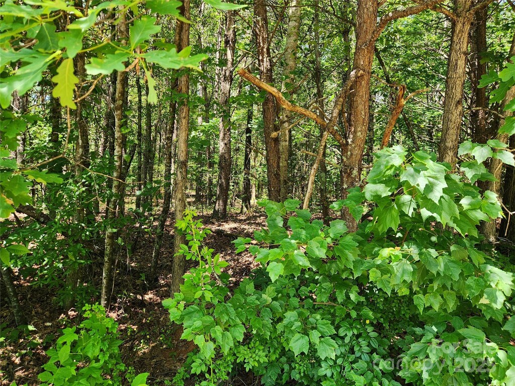 0 Patchwork Dr Unit 1, Statesville, NC 28677 - photo 2