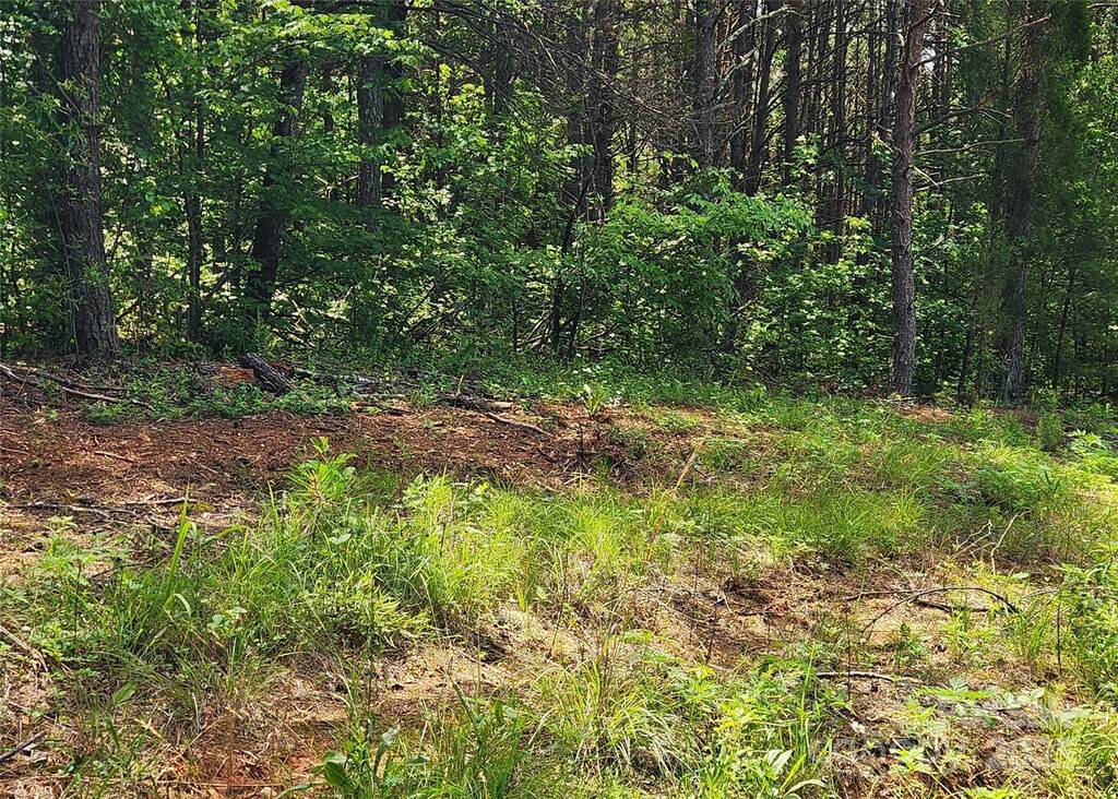 0 Patchwork Dr Unit 1, Statesville, NC 28677 - photo 3