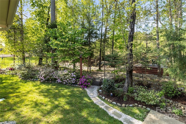 view of yard
