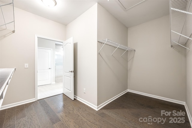 walk in closet featuring wood finished floors