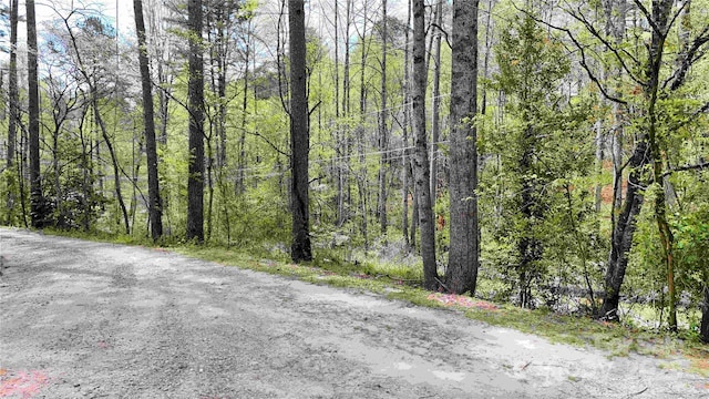 view of road with a forest view