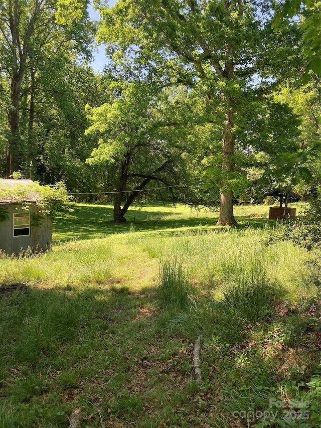 view of local wilderness