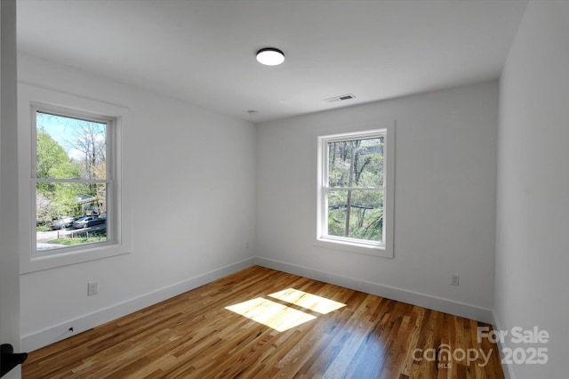 14 Whitson Rd, Asheville, NC 28805 - photo 22