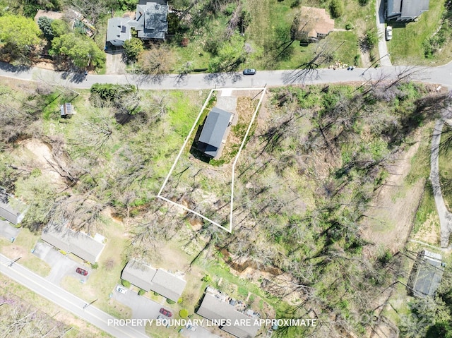 14 Whitson Rd, Asheville, NC 28805 - photo 38