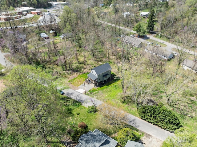 14 Whitson Rd, Asheville, NC 28805 - photo 43