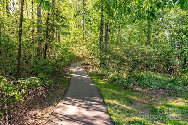 19113 Southport Dr, Cornelius, NC 28031 - view of street with a forest view
