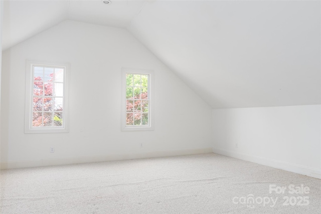 19113 Southport Dr, Cornelius, NC 28031 - additional living space with carpet, baseboards, and vaulted ceiling