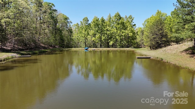 water view with a forest view