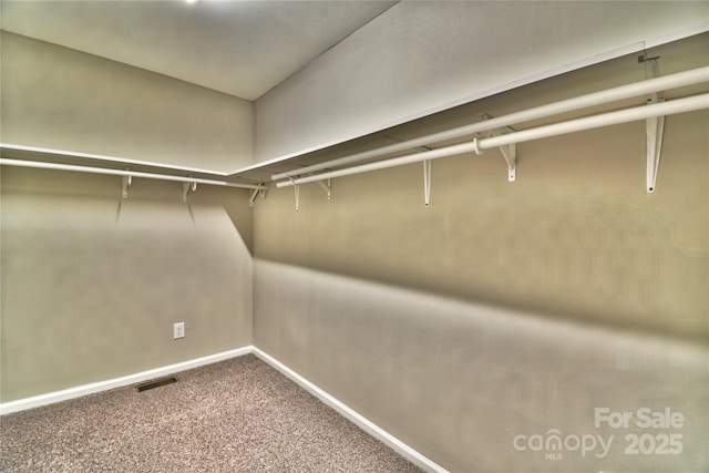 spacious closet featuring visible vents and carpet