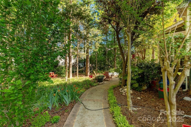 206 Coburn Ct, Fort Mill, SC 29715 - view of yard