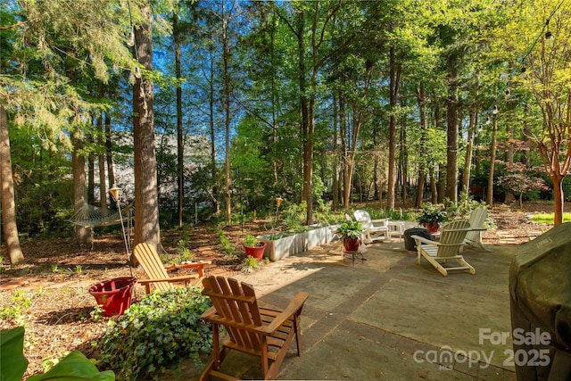 206 Coburn Ct, Fort Mill, SC 29715 - view of patio
