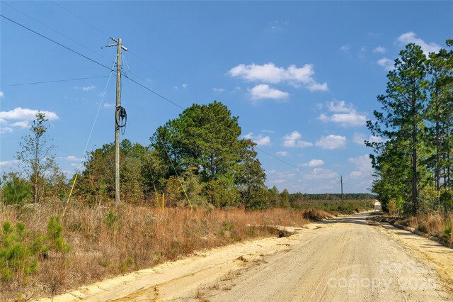0000 Riley Rd Unit 3, Chesterfield, SC 29709 - photo 4