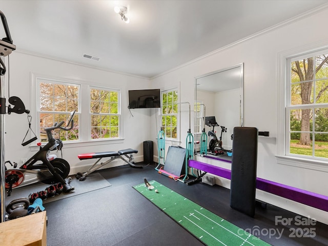 exercise room featuring ornamental molding, visible vents, and a wealth of natural light