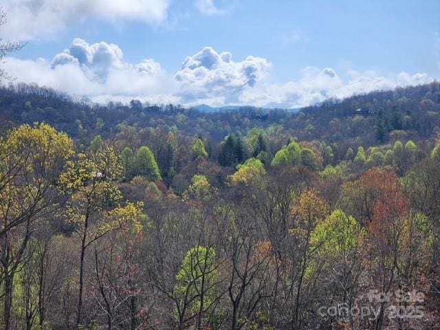 371 E Falls View Dr, Pisgah Forest, NC 28768 - birds eye view of property featuring a forest view