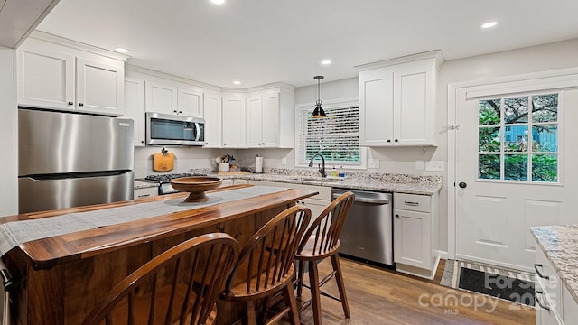 kitchen with stainless steel appliances, plenty of natural light, a sink, and wood finished floors