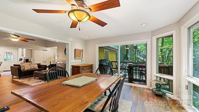 dining area featuring a ceiling fan and wood finished floors