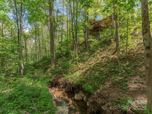 view of local wilderness featuring a view of trees