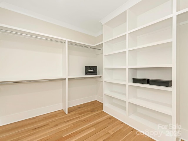 2909 Hanson Dr, Charlotte, NC 28207 - walk in closet featuring wood finished floors