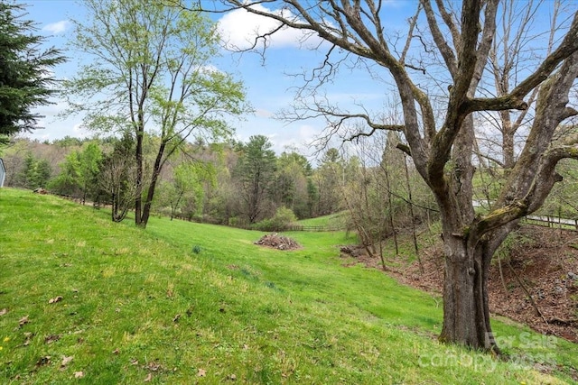 view of yard with a view of trees