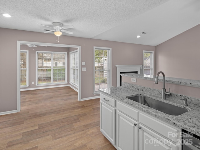 135 S Sunberry Trl, Fletcher, NC 28732 - kitchen featuring white cabinetry, light wood-style floors, visible vents, ceiling fan, and a sink