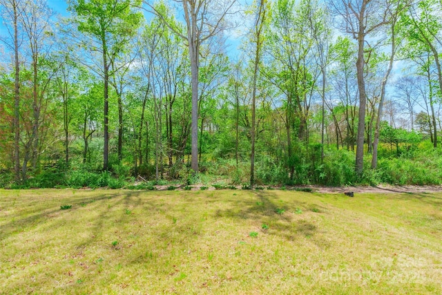 162 Aspire Cir, Wingate, NC 28174 - photo 38