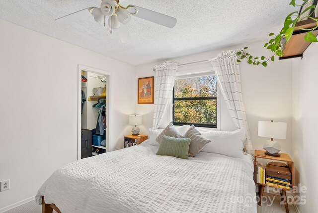16 Spears Ave Unit 39, Asheville, NC 28801 - photo 11