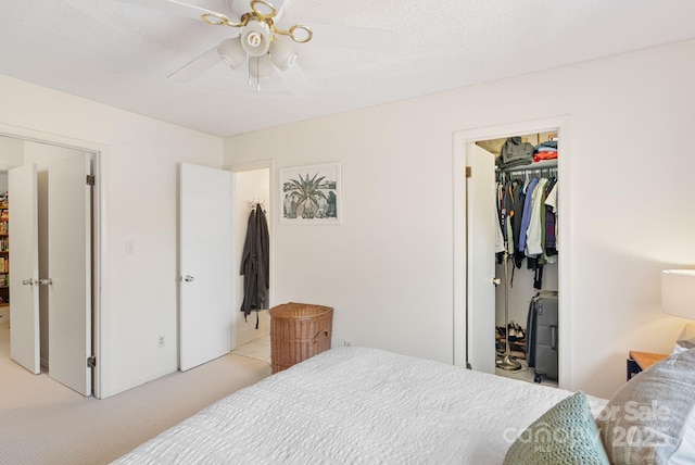 16 Spears Ave Unit 39, Asheville, NC 28801 - photo 12