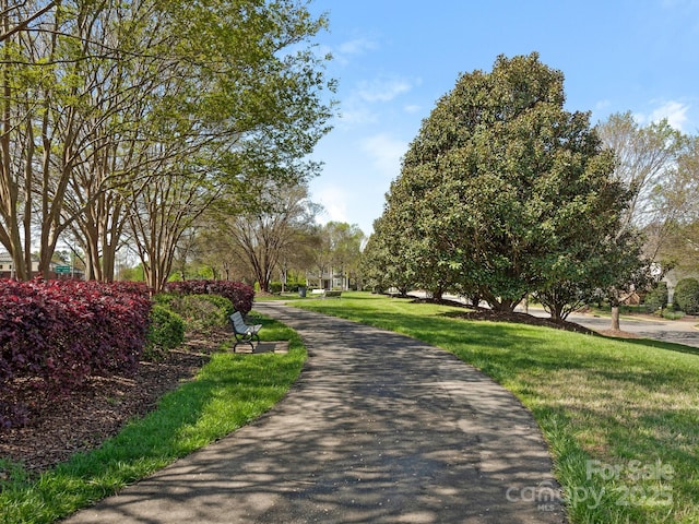 4303 Patriots Hill Rd, Mint Hill, NC 28227 - photo 35